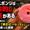 丸いスポンジは致命的な欠点がある【スポンジの旅66】キクロン「あわどーなっちょ」を4日間使った感想