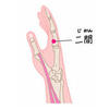 【経穴シリーズ】足の陽明大腸経　LI２　二間