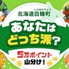 2025/7/31まで！北海道白糠町の簡単なアンケートに回答すると楽天ポイント5万ポイント山分け！