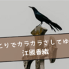 人生がわからなくなったのであれば『ひとりでカラカサさしてゆく』が答えになるかもしれません