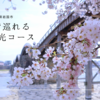 【人気スポット7選】山口県岩国の半日観光モデルコース！絶景の錦帯橋から岩国城まで全て徒歩で巡れる完全ガイド