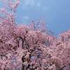 さぬき花火浪漫２０２３花火大会 日程 時間は？