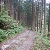 さくら咲く温泉（奈良県東吉野村）