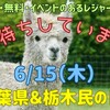 千葉県＆栃木民の日 2023年6月15日（木） 割引・無料・イベントのあるレジャー施設10選 