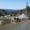 長野・山梨早春の花めぐり