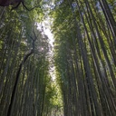 梅ざらめ的旅日誌  〜無茶無謀を乗り越える〜