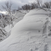 ◆'24/01/17　鳥海山山麓：開拓登山口より③