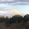 今朝の景色