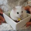 ほっぺたパンパン
