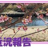 近況報告　2024/3/16(土)～3/24(日)　　3/18(月)帯状疱疹と診断