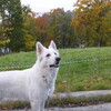連休はお仕事・゜・(ノД`)・゜・