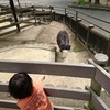 【コスパ最高】大阪 池田の五月山公園いいですよ