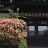 宇治さんぽ（2025.06.01）Ⅳ