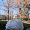 私の知らない療養病棟の世界4 人としての尊厳を守ってくれる病院 毎日ご飯