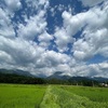 2023/07/11 火曜日　霧ヶ峰高原