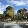 【大阪城公園】現在の紅葉の状況は？