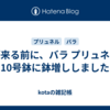 夏が来る前に、バラ プリュネルを10号鉢に鉢増ししました