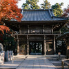 11月の高尾散歩その２／GFXで撮る紅葉真っ盛りの高尾山