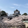 石川門と満開の桜