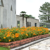 海浜植物園の花ごよみ・・