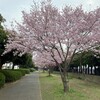 「切り返しで腕を真下に下ろす」「左で引っ張る」「右で押す」ことについて、Jacobs 3D 視点で理解する