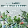 AND PLANTS.かっちんのホームページとブログに.是非訪問して下さい.宜しく...