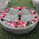 白空 阿苓's blog