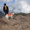 静かな山で愛犬とのんびり登山 『赤面山』
