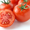 トマト農家の嫁候補が教えるミニトマトの保存方法（シワシワ葉野菜の復活方法も）