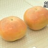 太秋柿の品評会　糖度は１８度から２０度と高品質