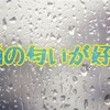 雨の匂いが好きです