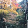 箕面公園