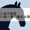 2023/11/13 地方競馬 盛岡競馬 5R 行け!紙一重の暴走太陽ラウ!賞(C2)
