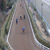 エプソムカップ１集前追い切りで気になった馬。