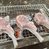 晩御飯は外で焚き火を見ながらBBQ