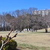 スキンヘッドに雨が降る・・・65sgg。