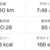 多摩湖 半周 10km