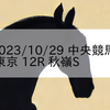 2023/10/29 中央競馬 東京 12R 秋嶺S
