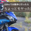 250ccでお散歩に行ったらちょっとモヤった話