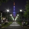 歩いて回れる！定番の東京タワー撮影スポットをご紹介！（浜松町・芝公園編）