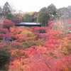 東福寺