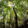 里山登山