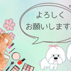 はじめまして🐻‍❄️