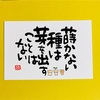 10/24マヤ暦🌟【KIN4】黄色い種　赤い龍　音4