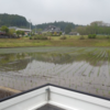 田植え・お外でサイクリング