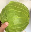 トノ×家庭菜園ブログ