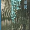 ：谷川健一『神に追われて』他