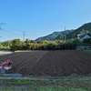 ひまわり🌻種蒔き種蒔き終了