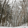 啓蟄の奥物部の森遊山　小雪