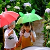 【東急ハンズ】梅雨の鬱陶しさを吹き飛ばす！おすすめ傘特集